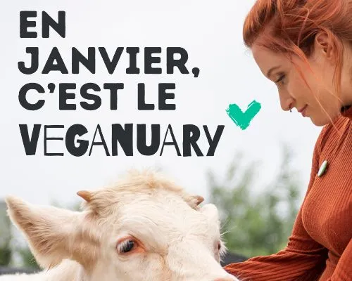 En janvier, passez au végétal !